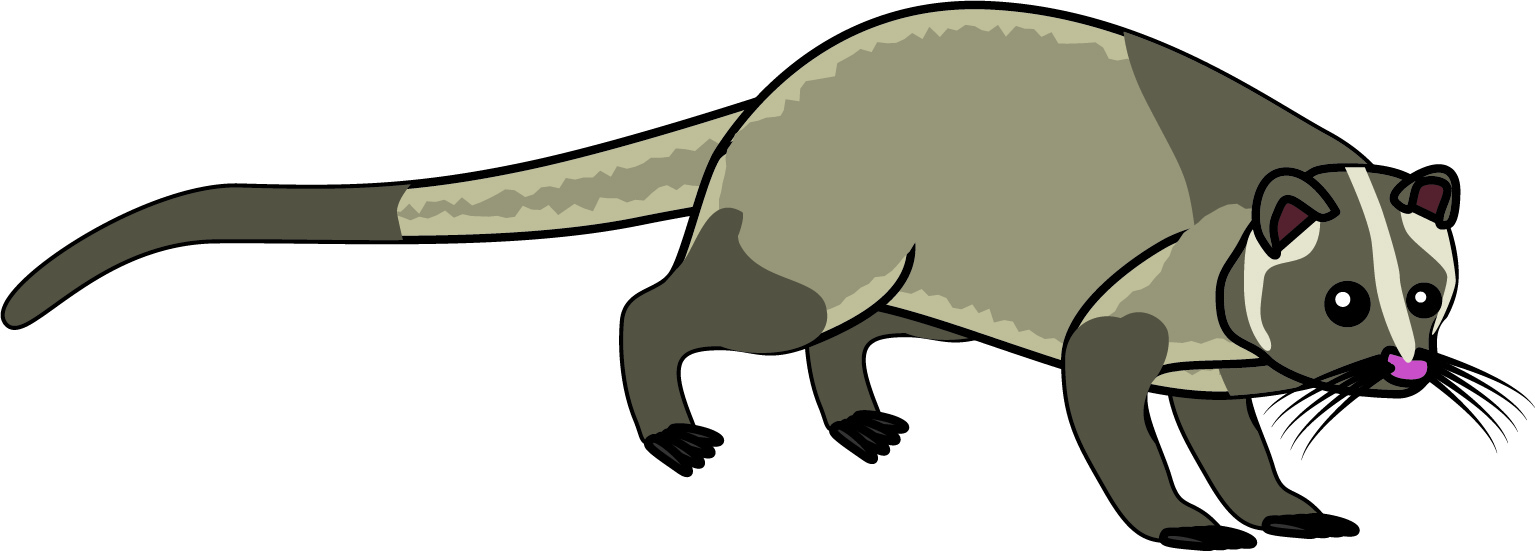 ハクビシン対策の達人