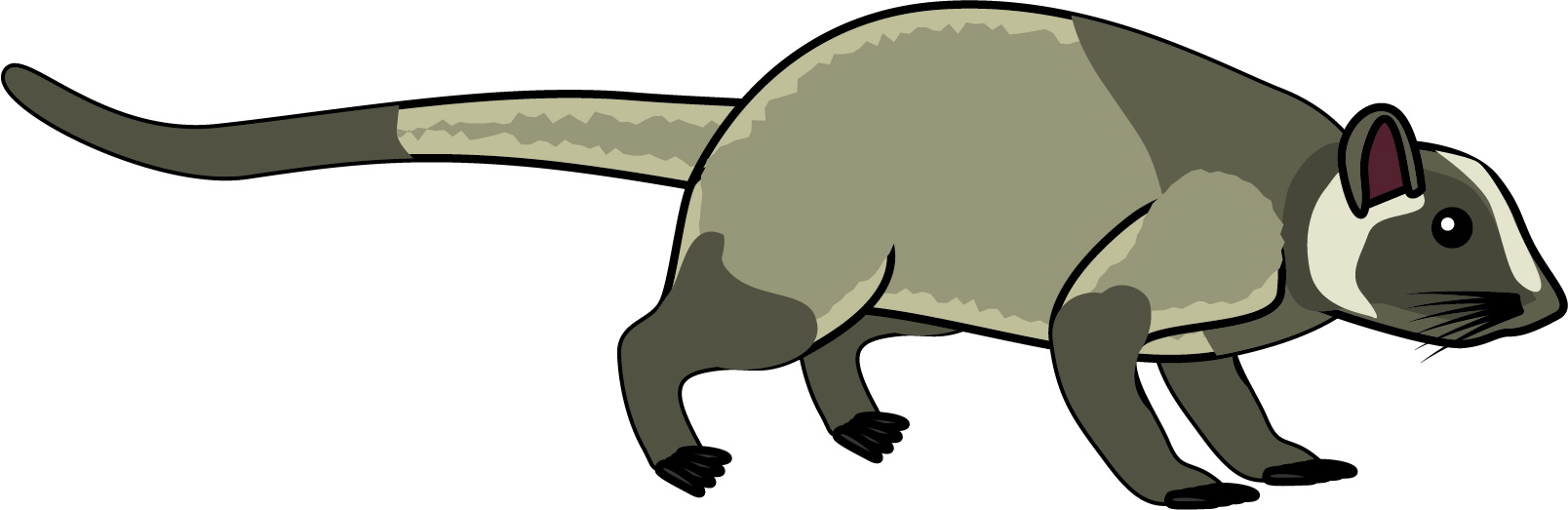 ハクビシン対策の達人